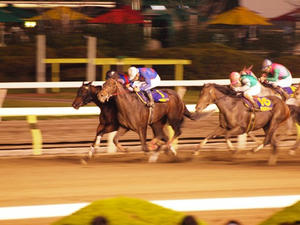 P6037239shuusei.JPG