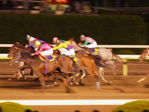 P6037247shuusei.JPG