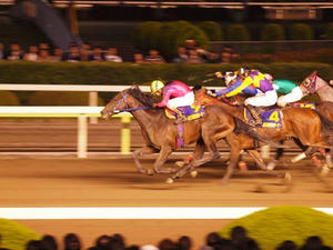P6037249shuusei.JPG