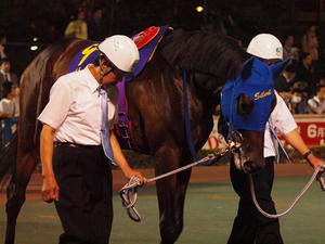 P6037068shuusei.JPG