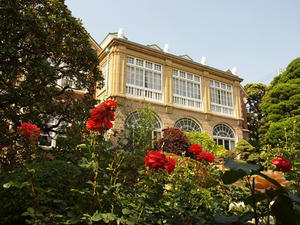 P5204432shuusei.JPG