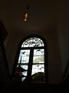 P5204467shuusei.JPG