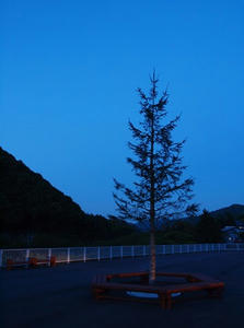 P6025770shuusei.JPG