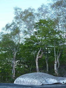 P6025773shuusei.JPG