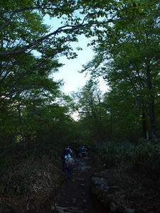 P6025774shuusei.JPG