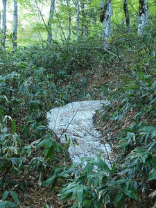 P6025777shuusei.JPG