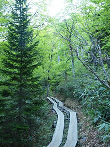 P6025779shuusei.JPG