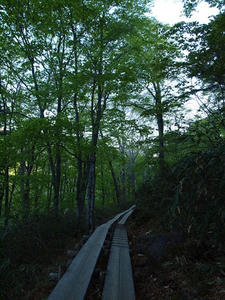 P6025786shuusei.JPG