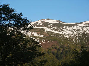 P6025785shuusei.JPG
