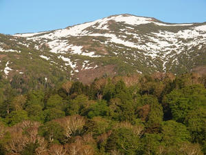 P6025792shuusei.JPG