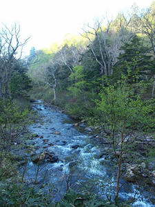 P6025806shuusei.JPG