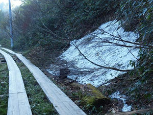 P6025810shuusei.JPG