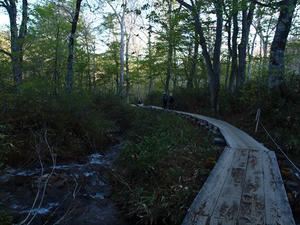 P6025813shuusei.JPG