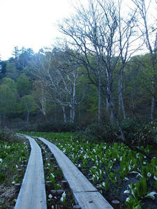 P6025828shuusei.JPG
