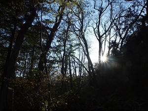 P6025846shuusei.JPG
