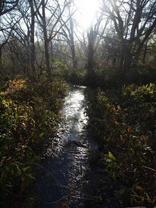 P6025875shuusei.JPG