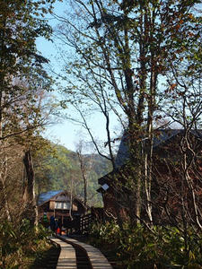 P6025885shuusei.JPG