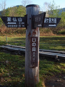 P6025886shuusei.JPG