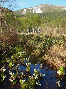 P6025891shuusei.JPG