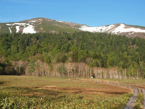 P6025899shuusei.JPG