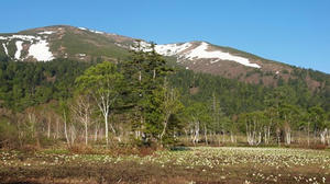 P6025907shuusei.JPG