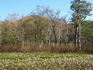 P6025914shuusei.JPG