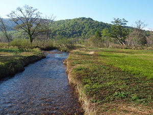P6025916shuusei.JPG