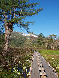 P6025924shuusei.JPG