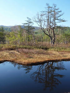 P6025935shuusei.JPG