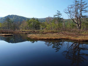 P6025938shuusei.JPG