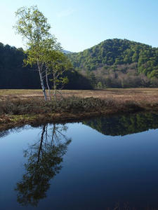 P6025973shuusei.JPG