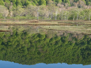 P6025982shuusei.JPG