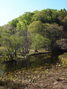 P6025989shuusei.JPG