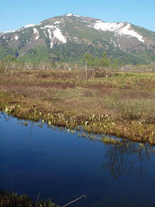 P6025993shuusei.JPG