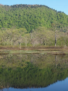 P6026034shuusei.JPG