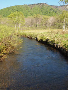 P6026053shuusei.JPG