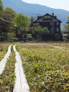 P6026087shuusei.JPG
