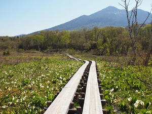 P6026125shuusei.JPG