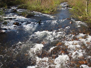 P6026138shuusei.JPG