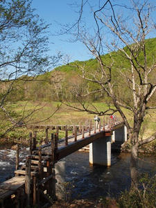 P6026140shuusei.JPG