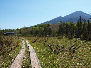 P6026156shuusei.JPG