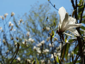 P6026173shuusei.JPG