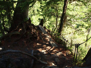 P6026179shuusei.JPG