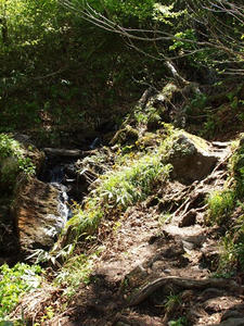 P6026206shuusei.JPG