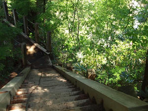 P6026226shuusei.JPG
