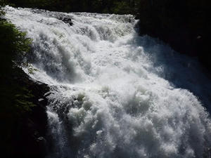 P6026255shuusei.JPG