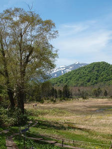 P6026260shuusei.JPG
