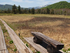 P6026268shuusei.JPG