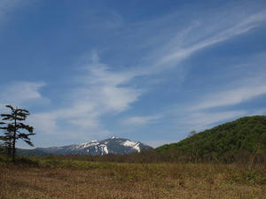 P6026273shuusei.JPG