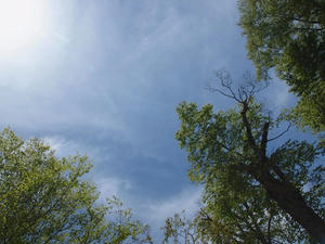 P6026321shuusei.JPG